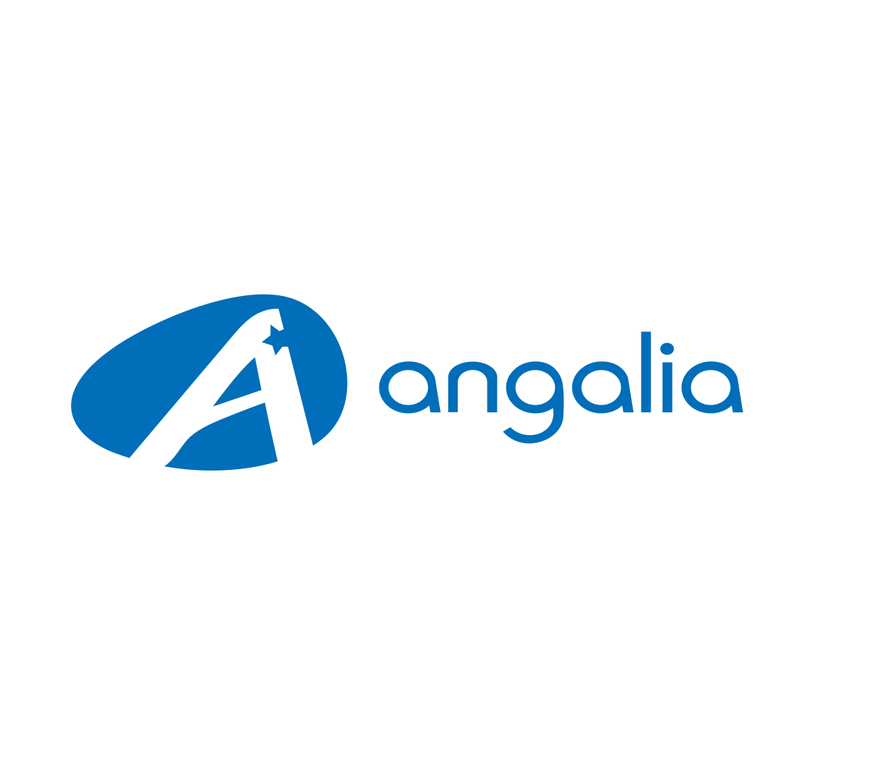 (c) Angalia.fr